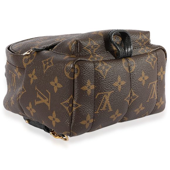 Louis Vuitton Monogram Canvas Palm Springs Mini Backpack - Picture 3 of 7